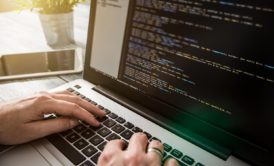 Beginners Introduction to Web Development